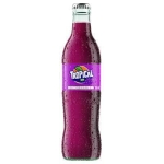 FANTA UVA VR 500ML (24U)